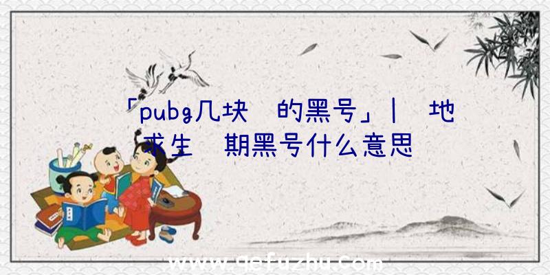 「pubg几块钱的黑号」|绝地求生长期黑号什么意思